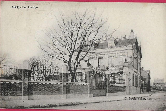 38 ascq - les lauriers